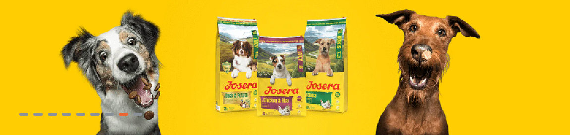 dve kucheta i kucheshka hrana