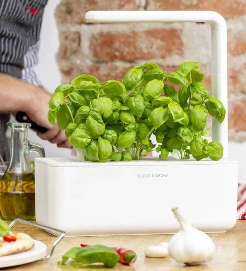 бяла саксия с босилек