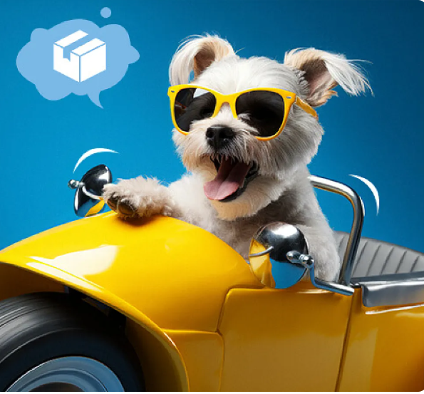 kuche sas slanchev ochila v zhalt motor