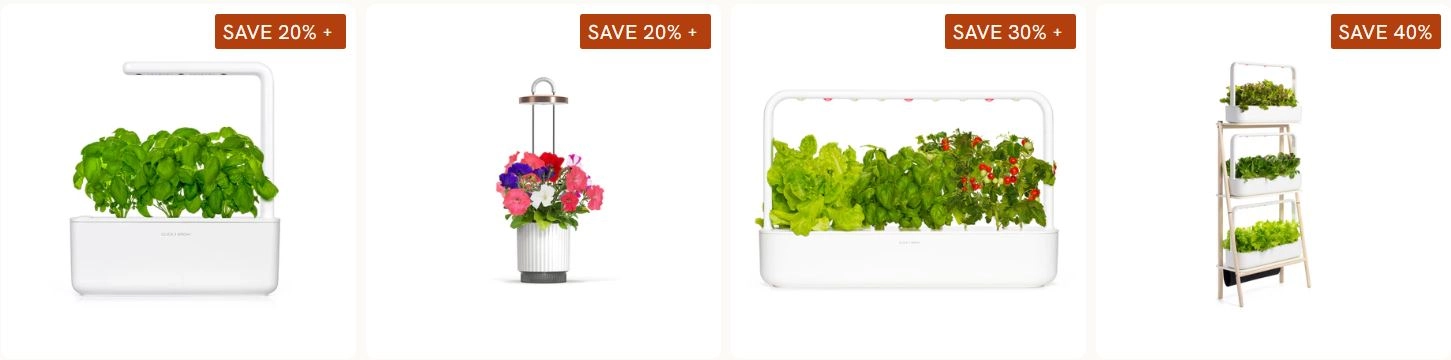 четири различни саксии с растения