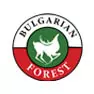 Bulgarian Forest