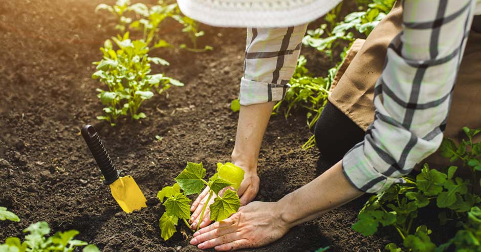 zhena v gradinata sadi rasteniya